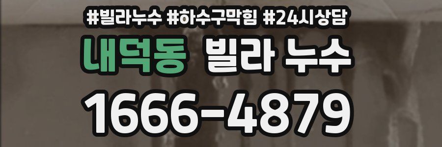 내덕동 빌라 누수