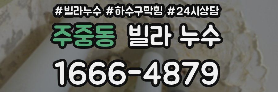 주중동 빌라 누수