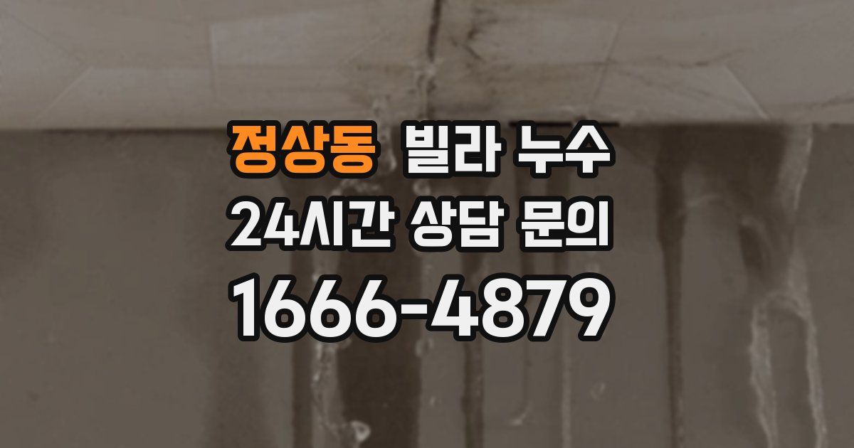 정상동 빌라 누수