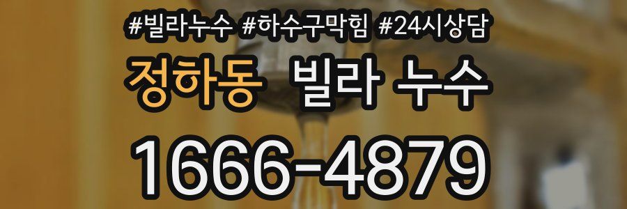 정하동 빌라 누수