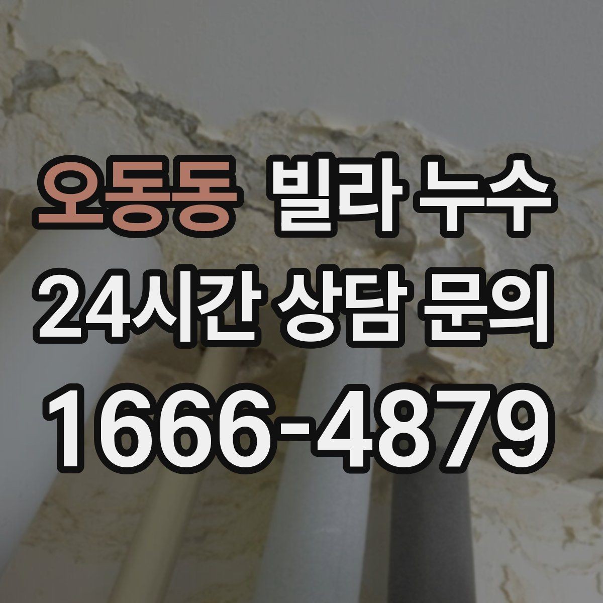 오동동 빌라 누수 누수로 아래층 피해가 커지기 전 대응