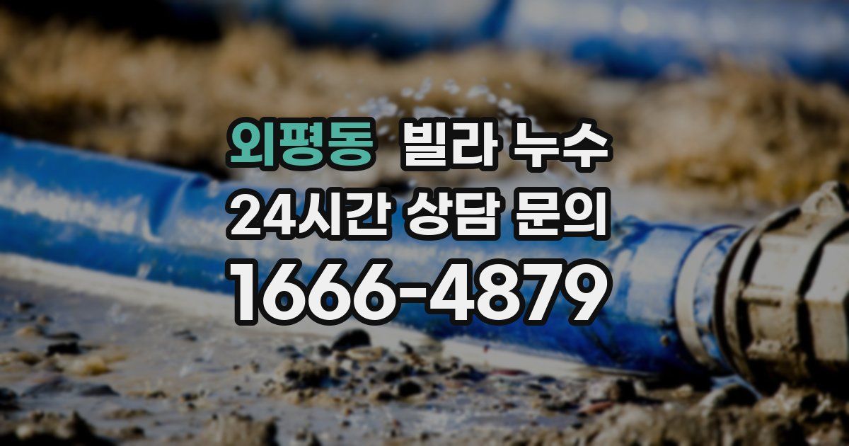 외평동 빌라 누수