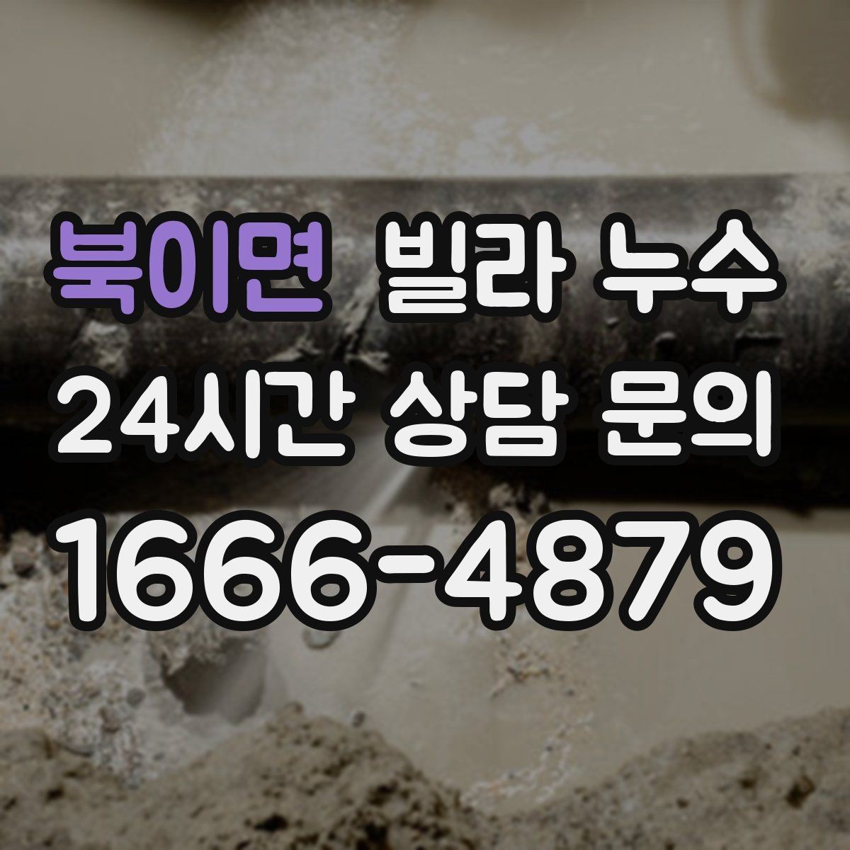 북이면 빌라 누수 세입자·집주인 모두를 위한 대응 팁