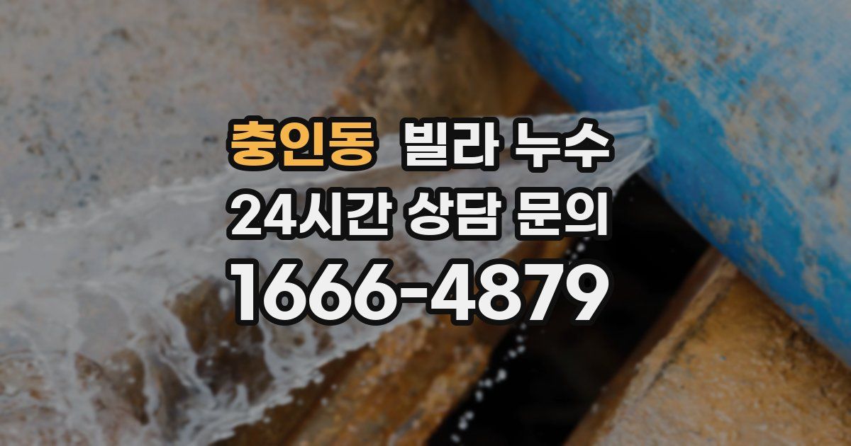 충인동 빌라 누수