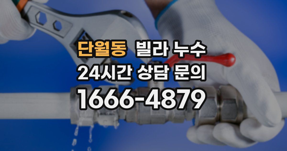 단월동 빌라 누수