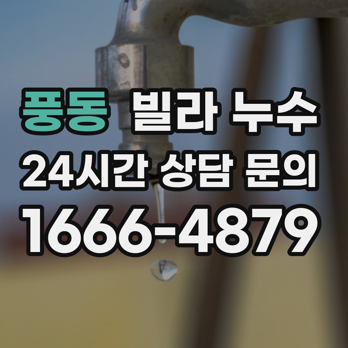 풍동 빌라 누수