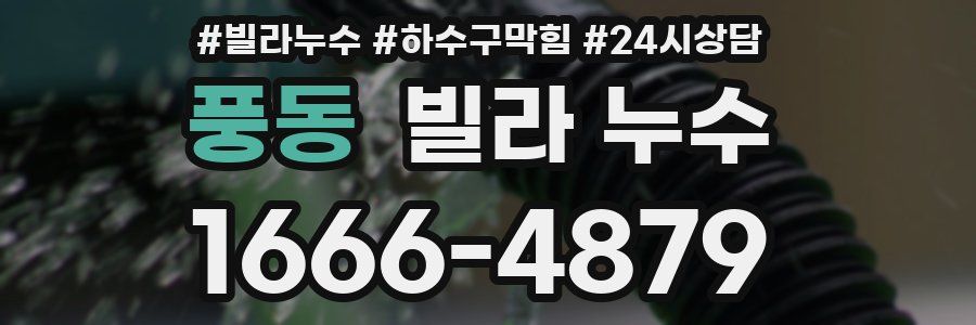 풍동 빌라 누수