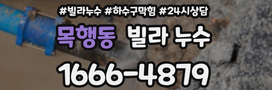 목행동 빌라 누수