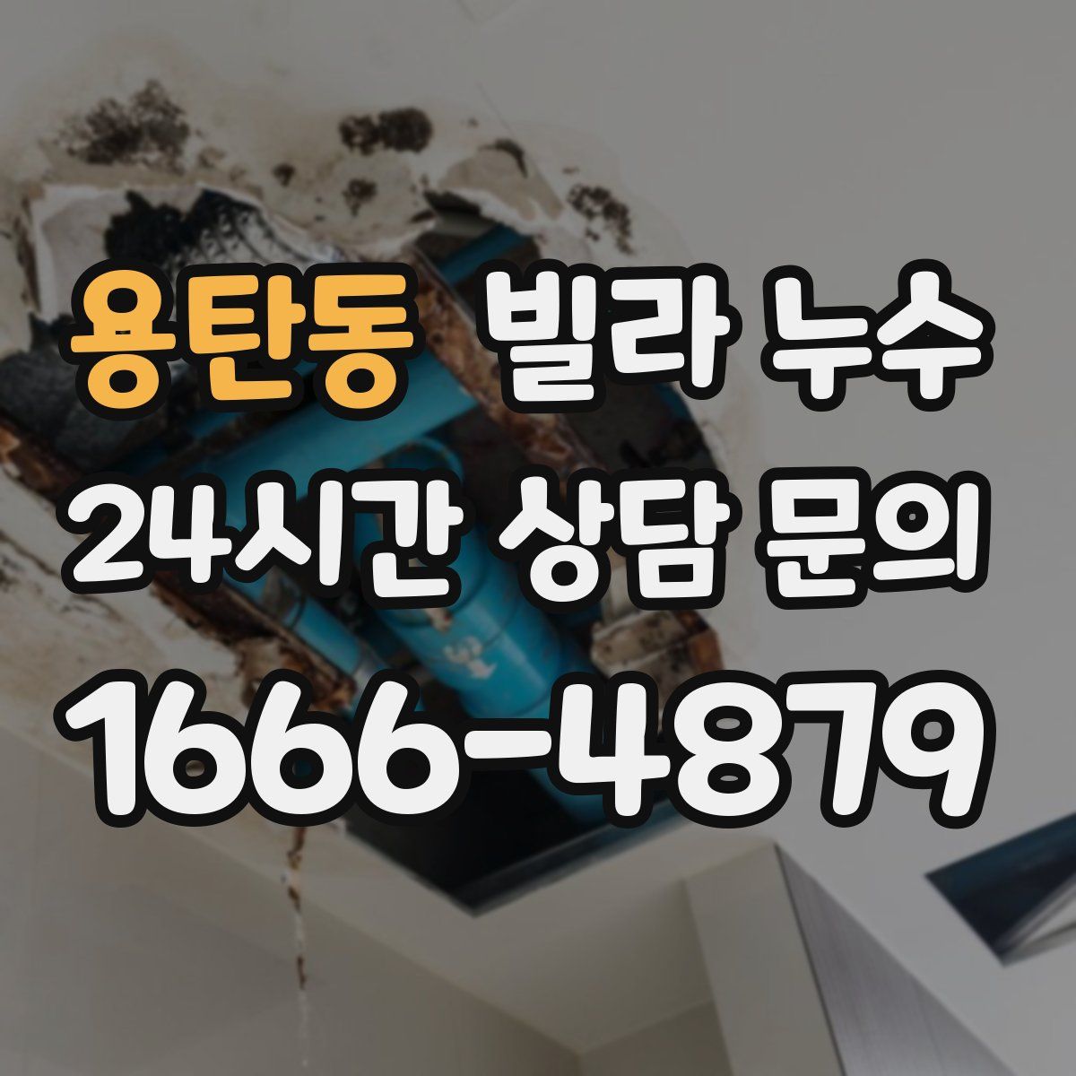 용탄동 빌라 누수