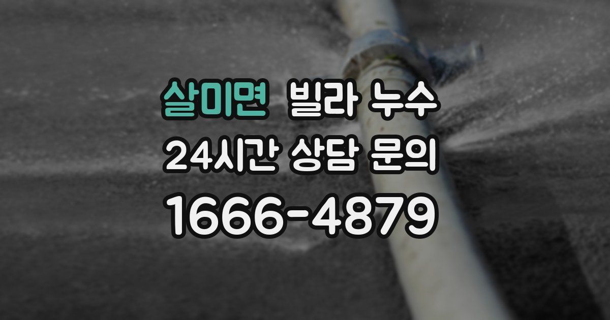 살미면 빌라 누수