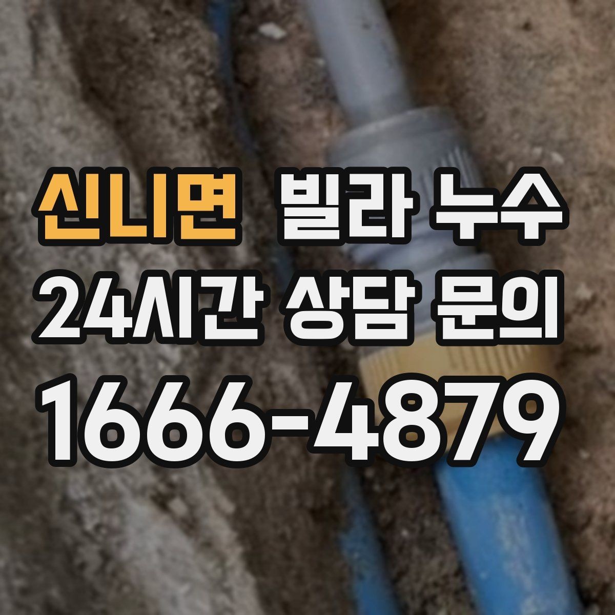신니면 빌라 누수 천장 주변에서 퀴퀴한 냄새가 올라올 때