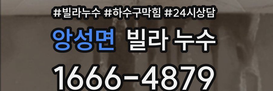 앙성면 빌라 누수