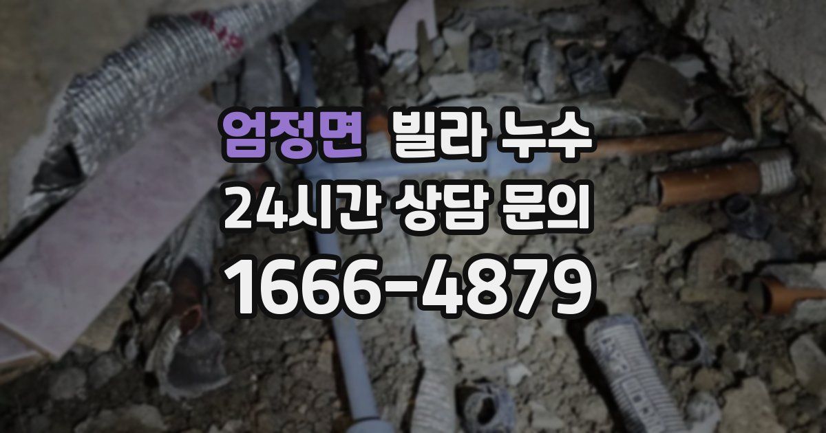 엄정면 빌라 누수