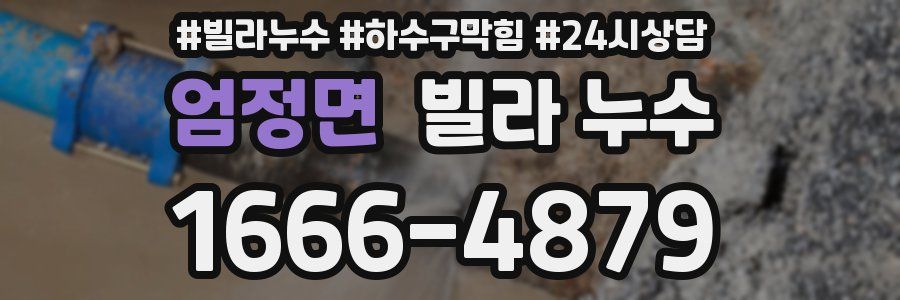 엄정면 빌라 누수