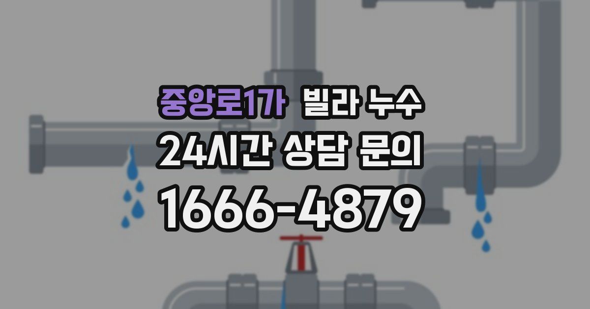 중앙로1가 빌라 누수