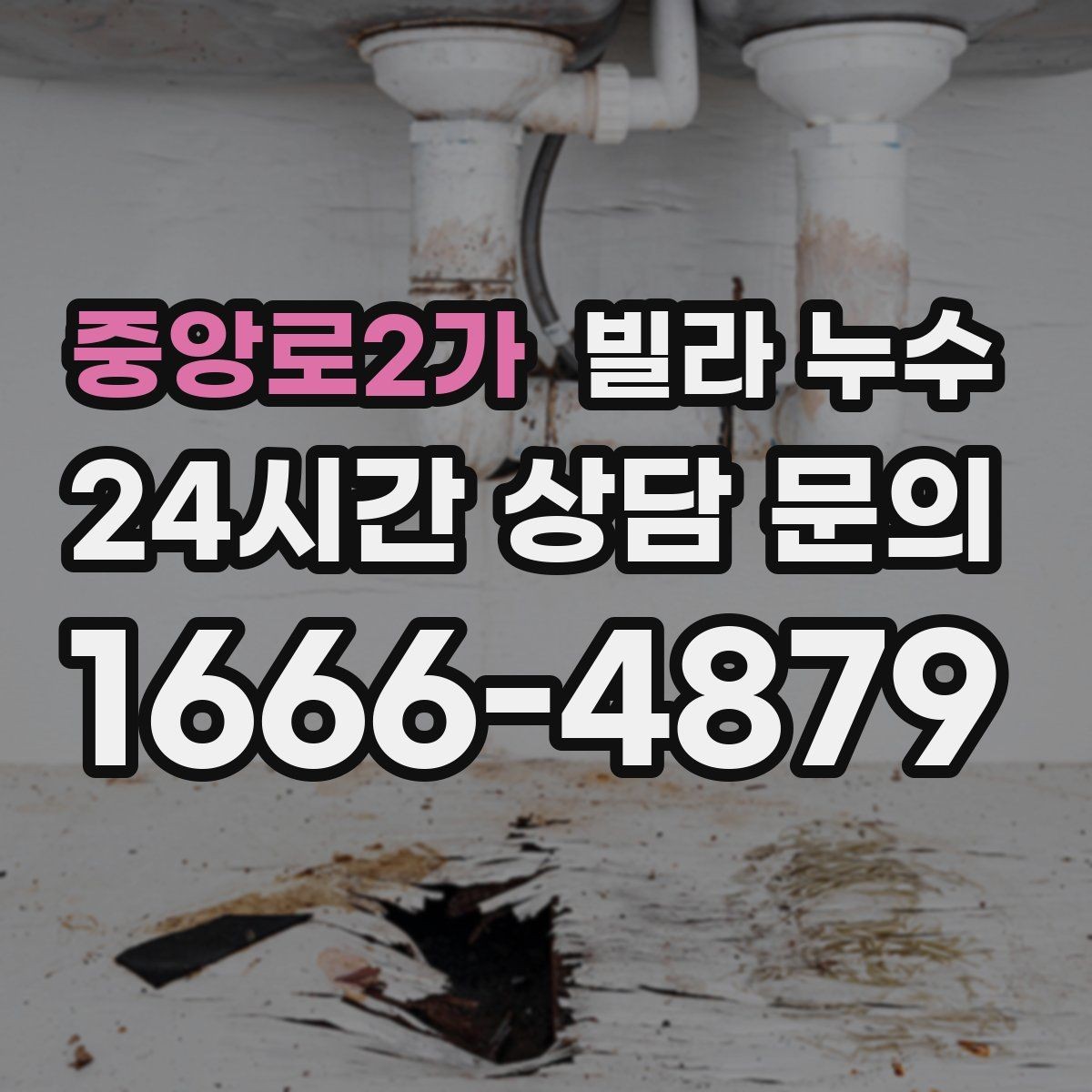 중앙로2가 빌라 누수 냄새가 심해지면 내부 습기가 쌓인 신호