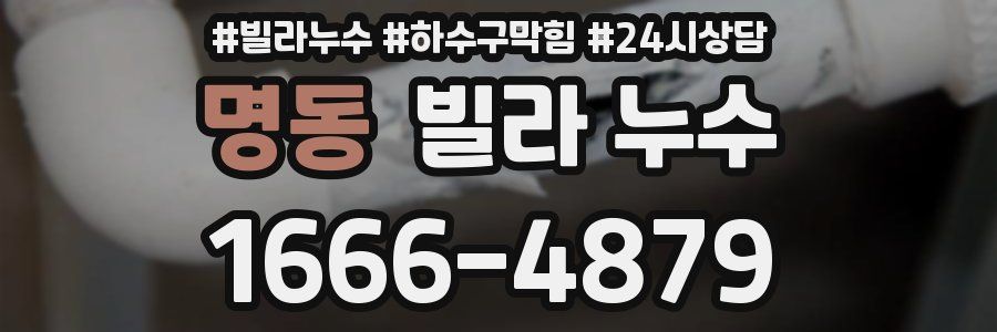 명동 빌라 누수