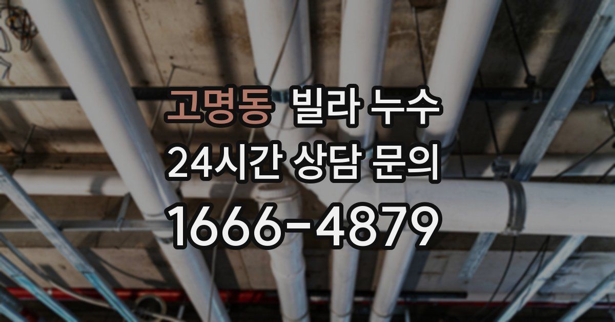 고명동 빌라 누수
