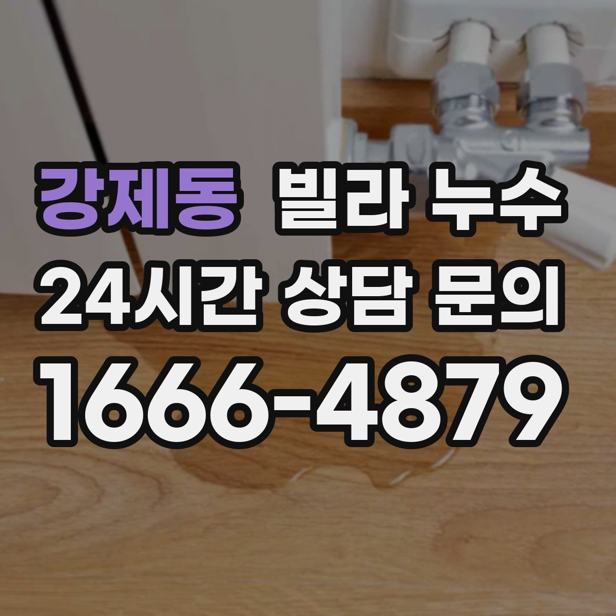 강제동 빌라 누수 섣불리 도배부터 하면 재발할 수 있어요