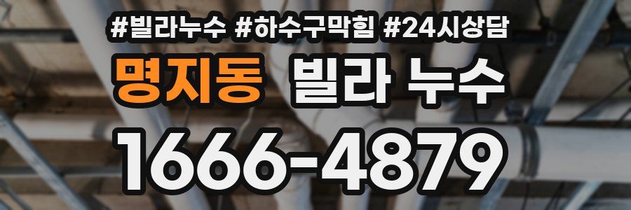 명지동 빌라 누수