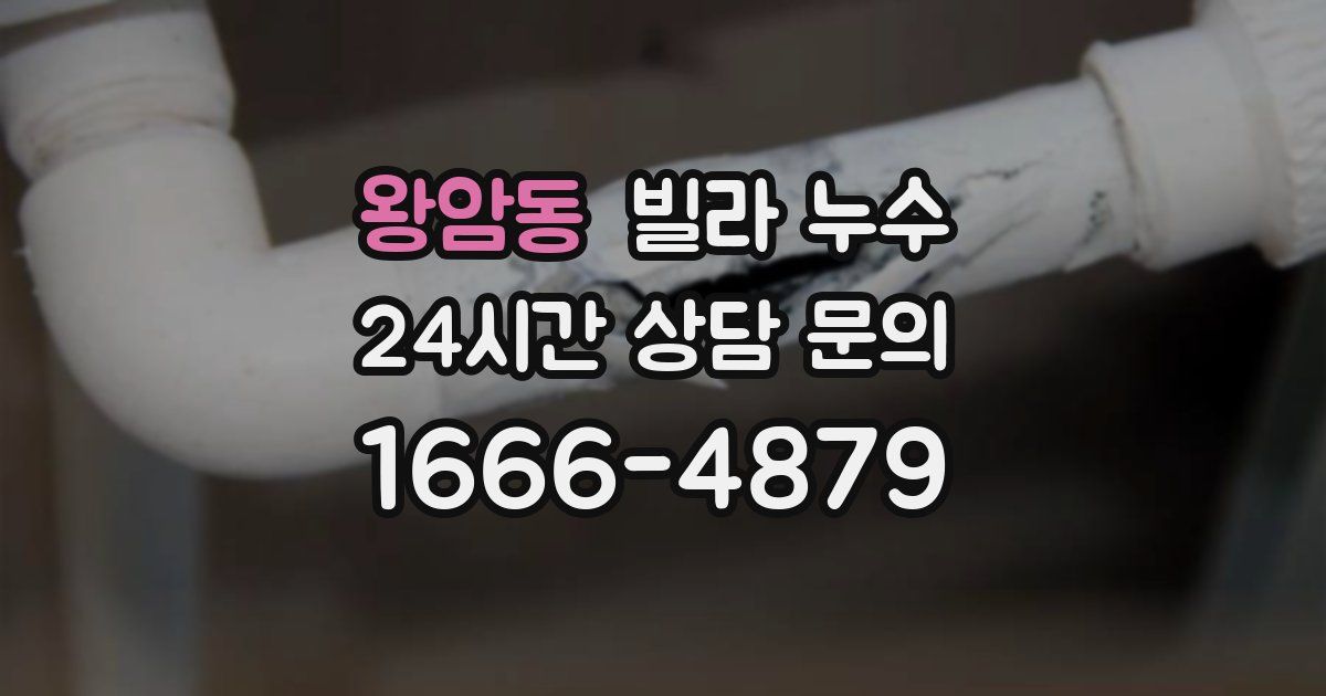 왕암동 빌라 누수