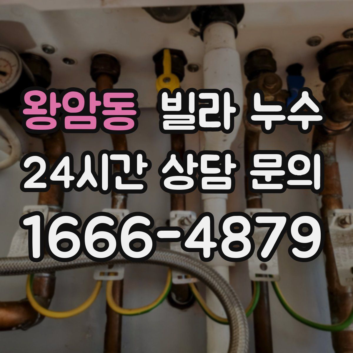 왕암동 빌라 누수