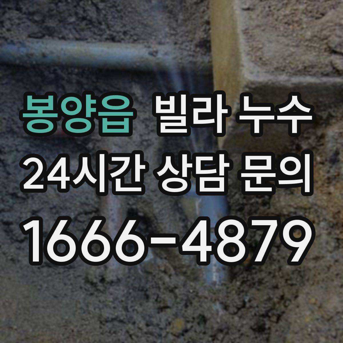 봉양읍 빌라 누수