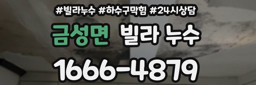 금성면 빌라 누수