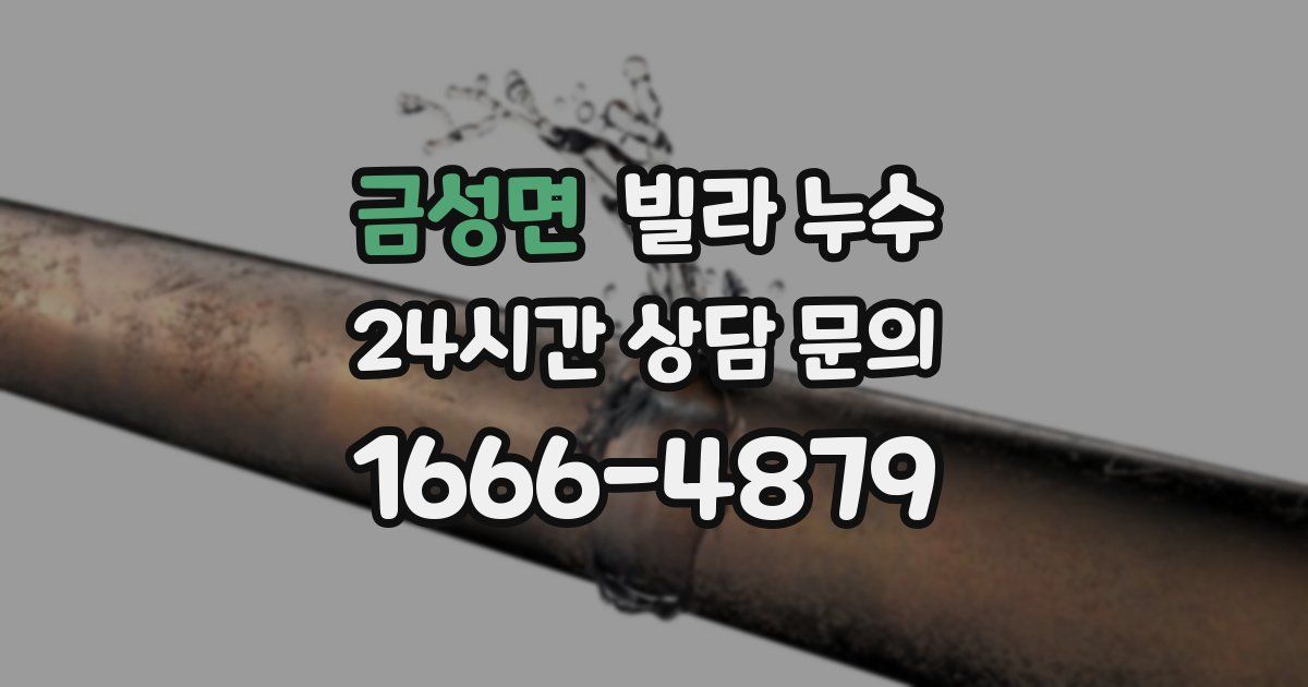 금성면 빌라 누수