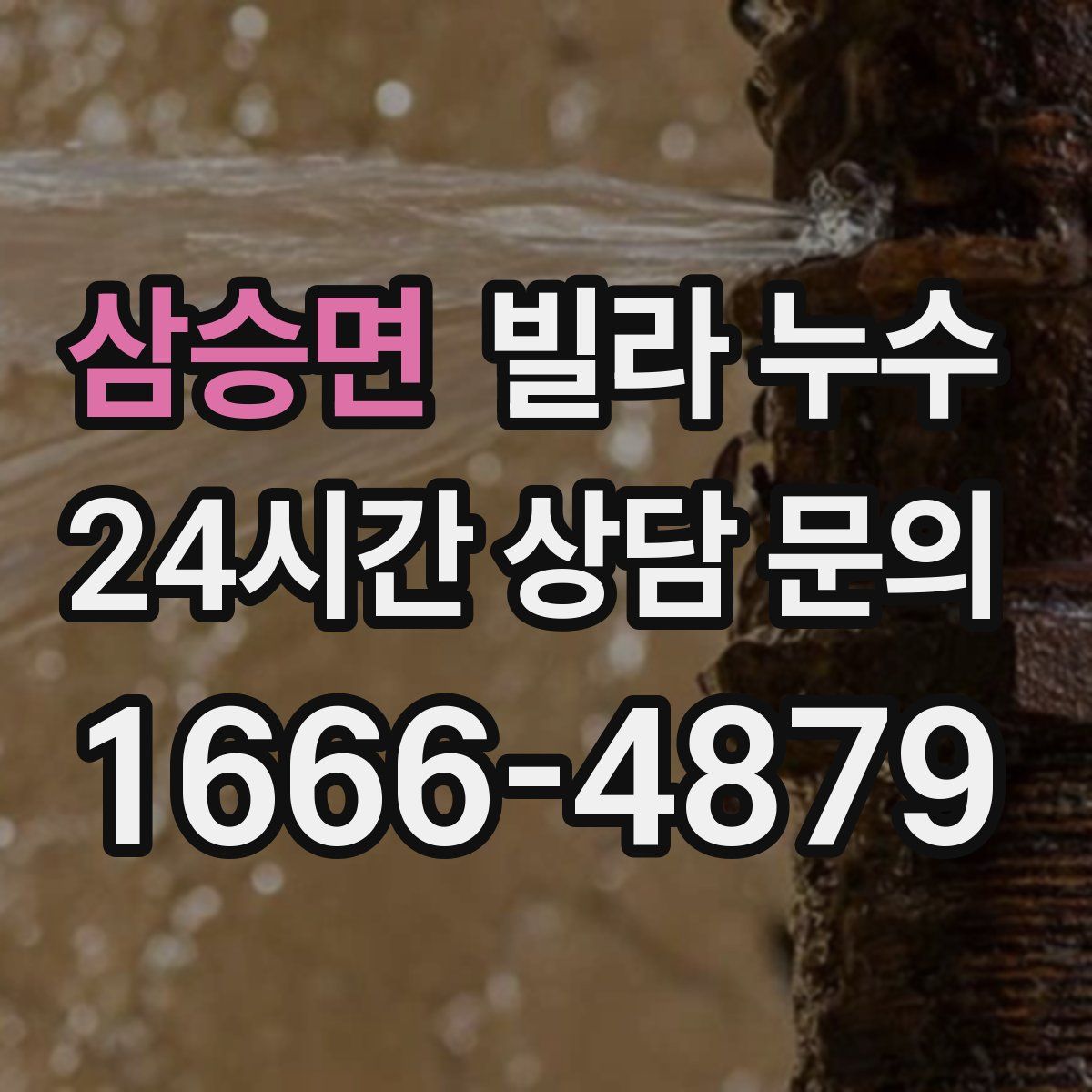 삼승면 빌라 누수