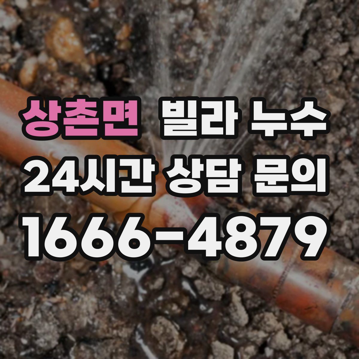 상촌면 빌라 누수