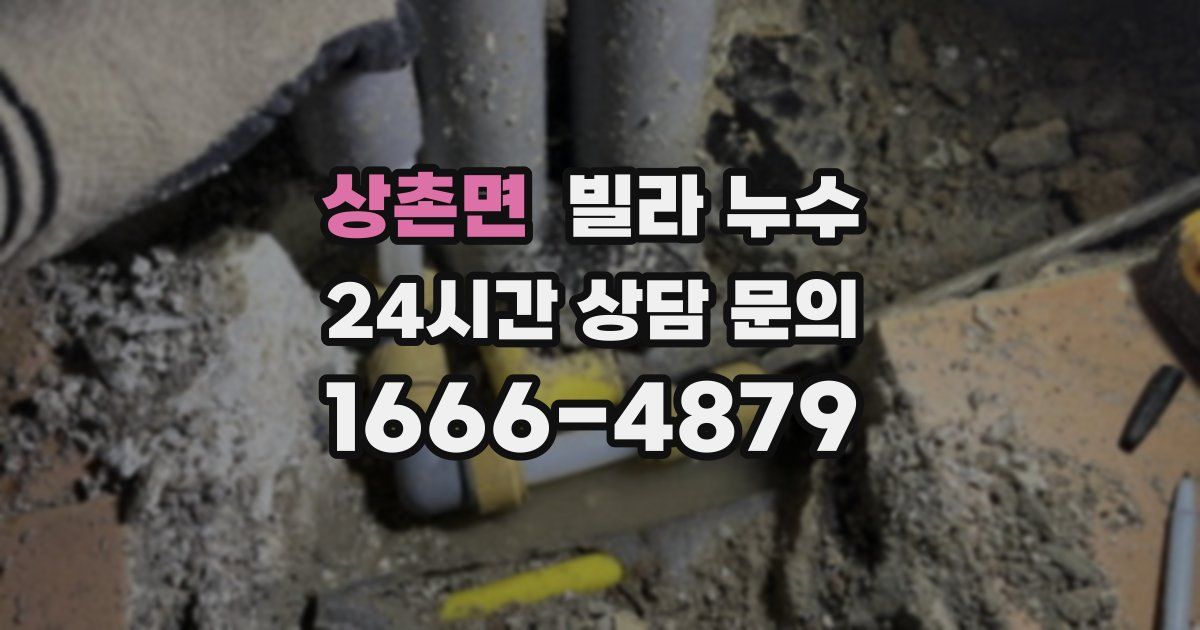 상촌면 빌라 누수