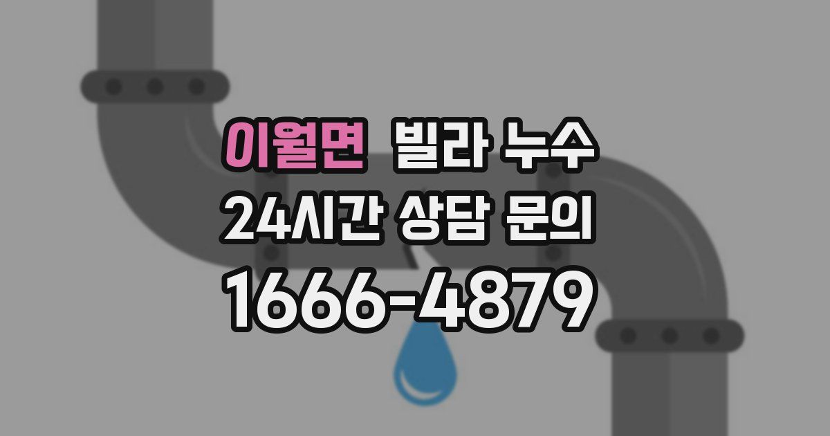 이월면 빌라 누수