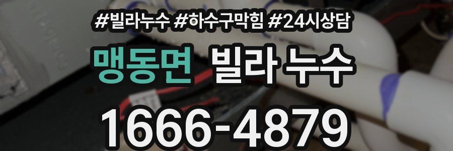 맹동면 빌라 누수