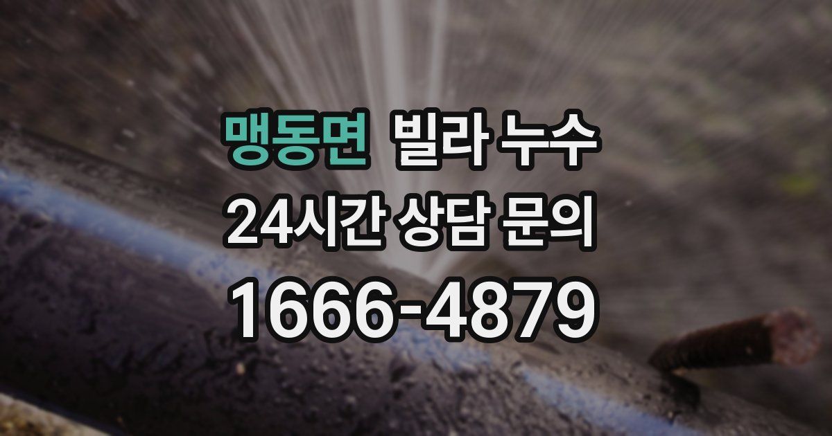 맹동면 빌라 누수