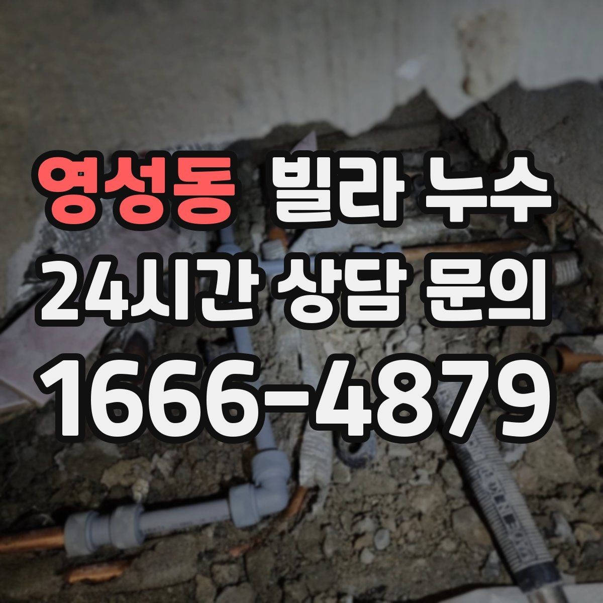 영성동 빌라 누수 세탁기 주변 물고임이 반복된다면