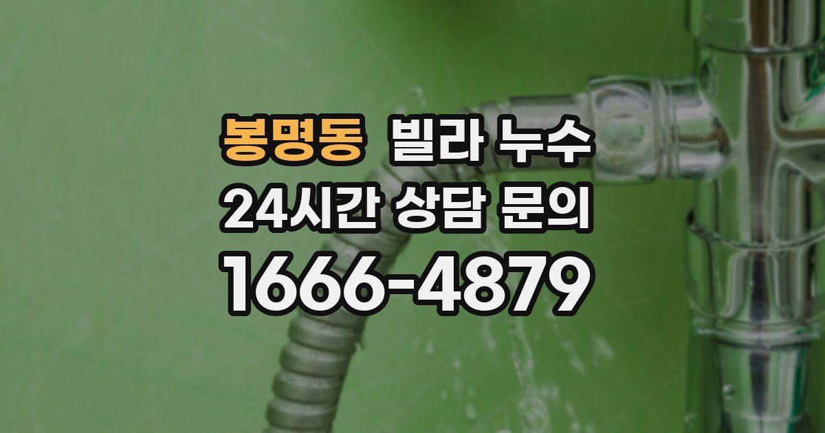 봉명동 빌라 누수