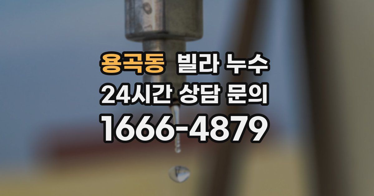 용곡동 빌라 누수