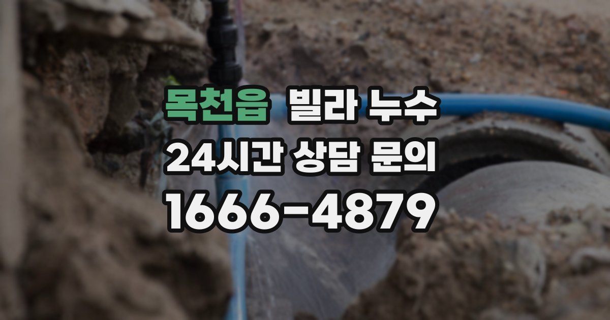 목천읍 빌라 누수