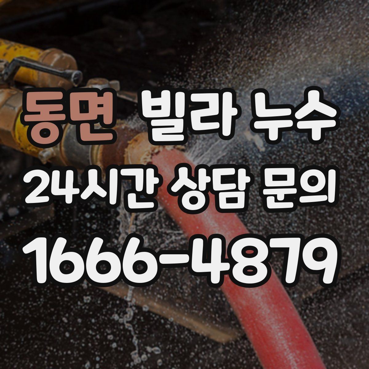 동면 빌라 누수 전등 주변이 젖으면 전기 안전부터 확인