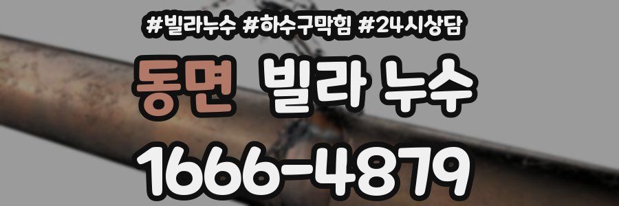 동면 빌라 누수