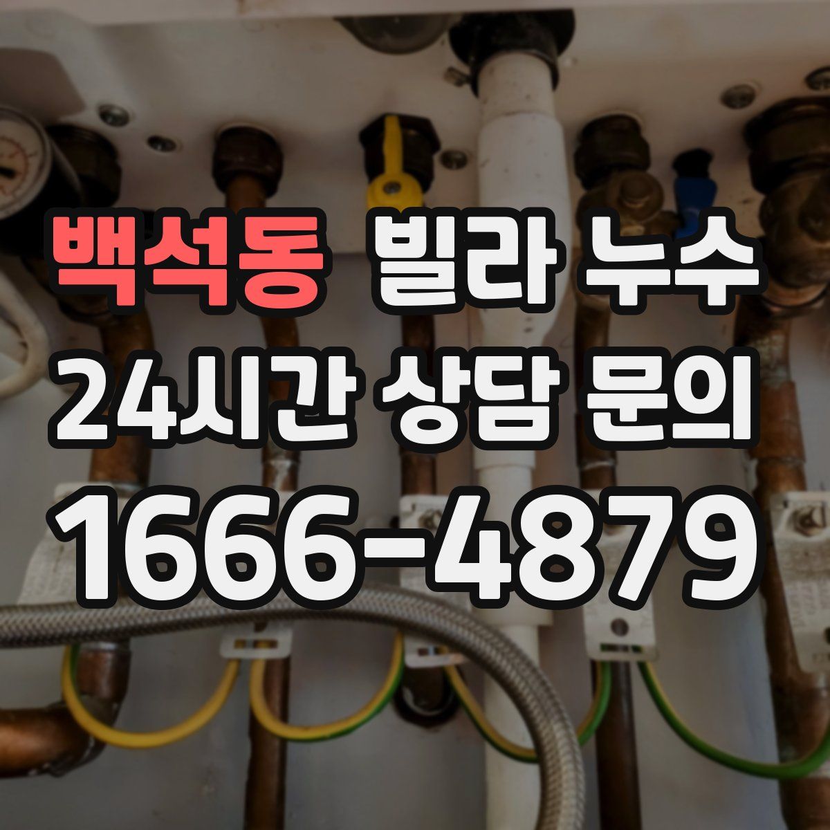 백석동 빌라 누수