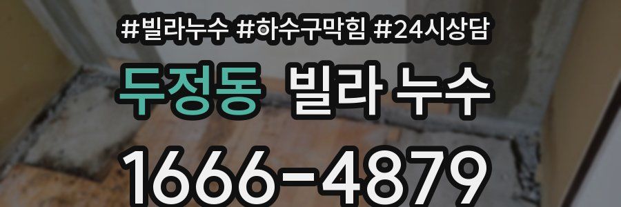 두정동 빌라 누수
