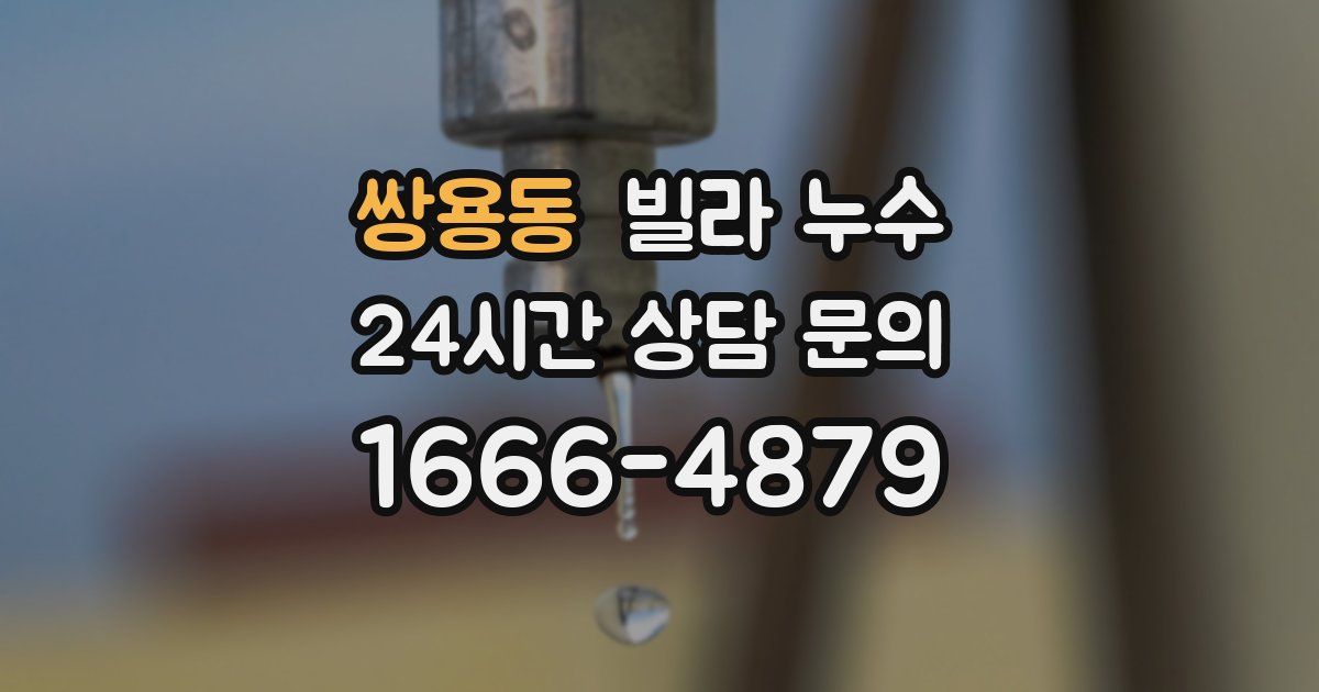 쌍용동 빌라 누수