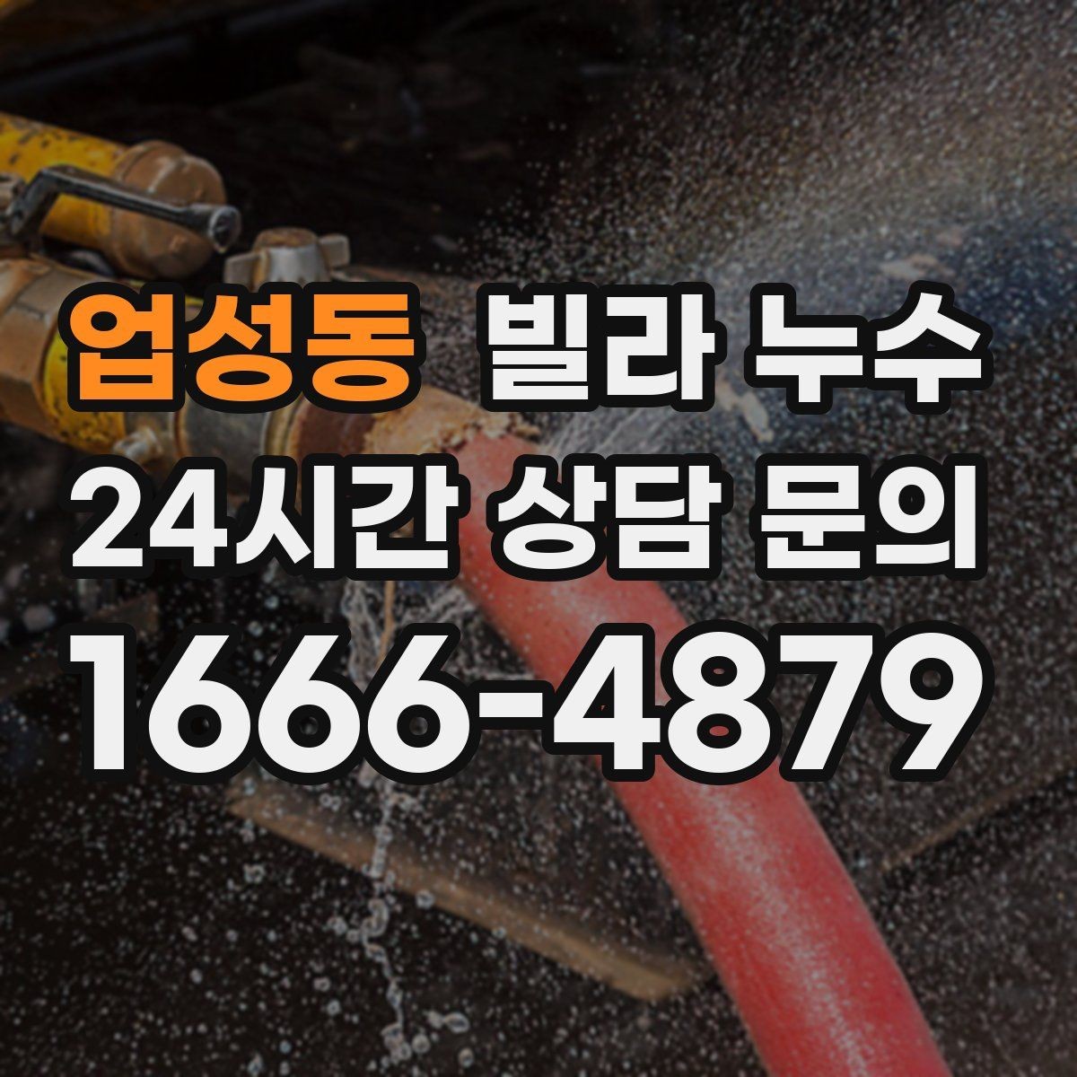 업성동 빌라 누수 욕실 벽 타일 사이 물스밈이 늘었다면