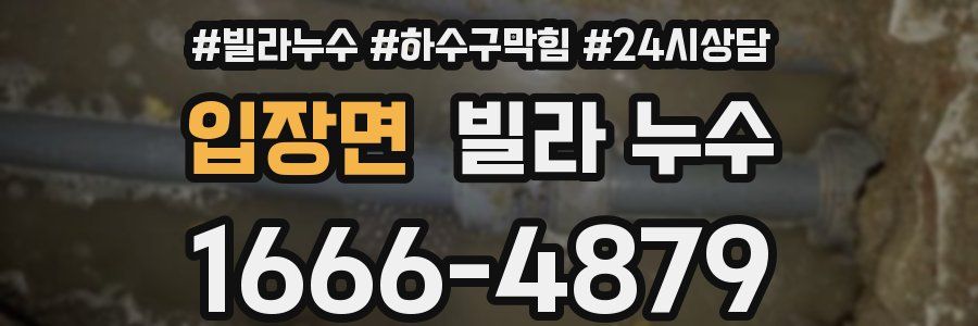 입장면 빌라 누수