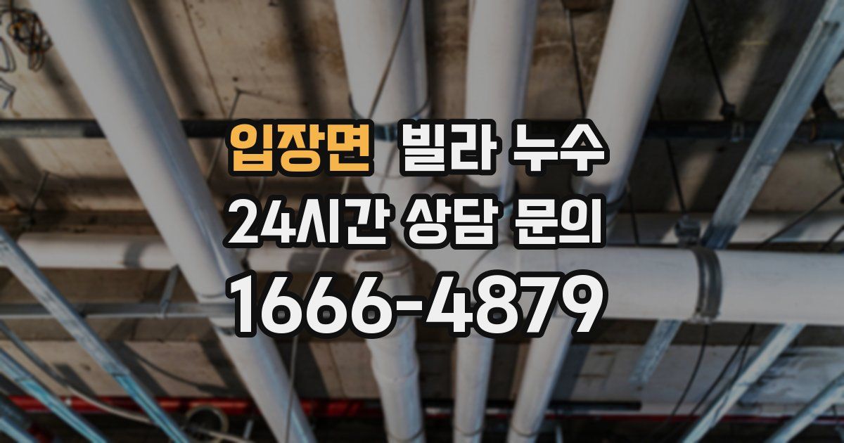 입장면 빌라 누수