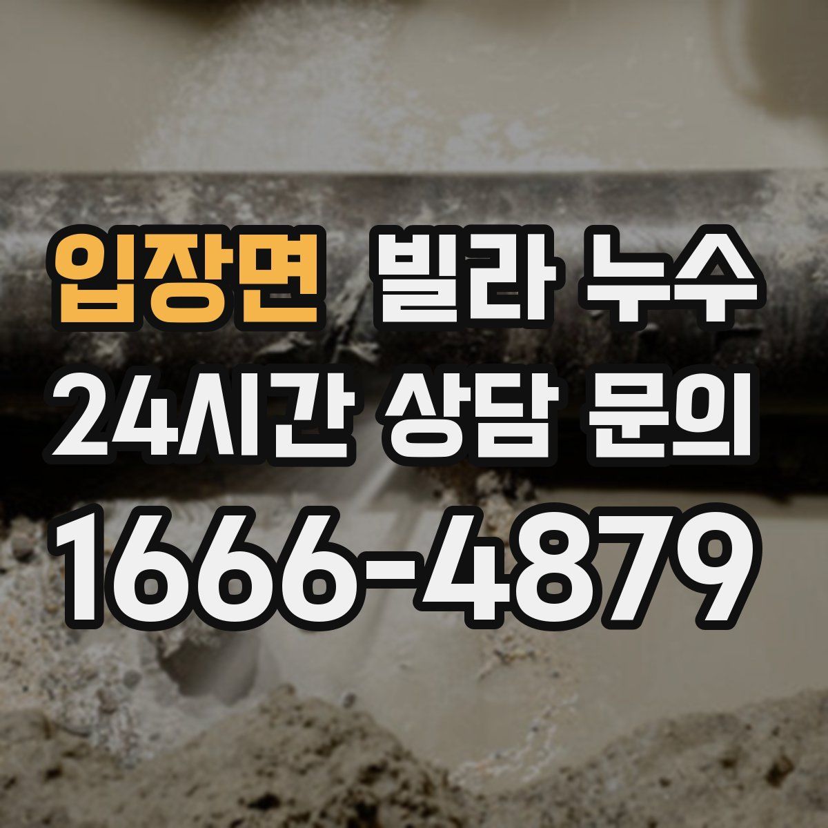 입장면 빌라 누수