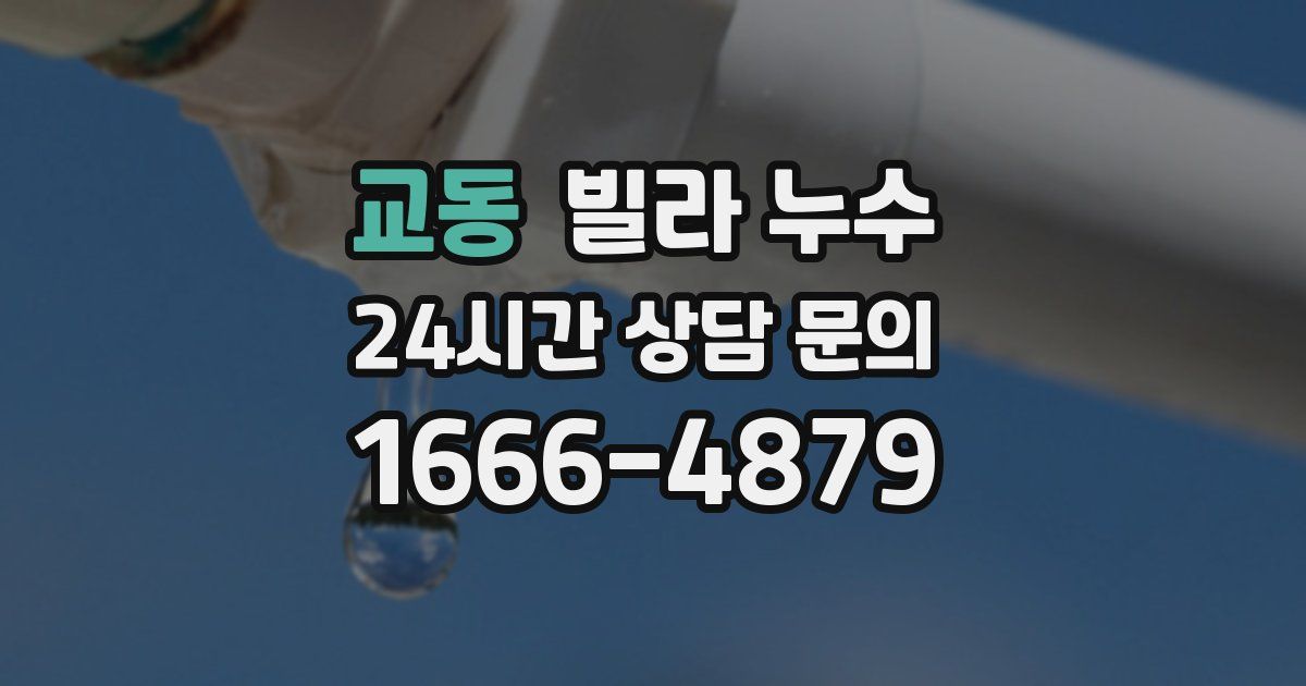 교동 빌라 누수