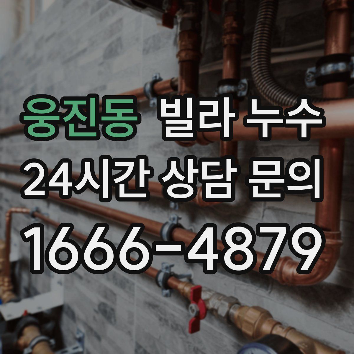 웅진동 빌라 누수